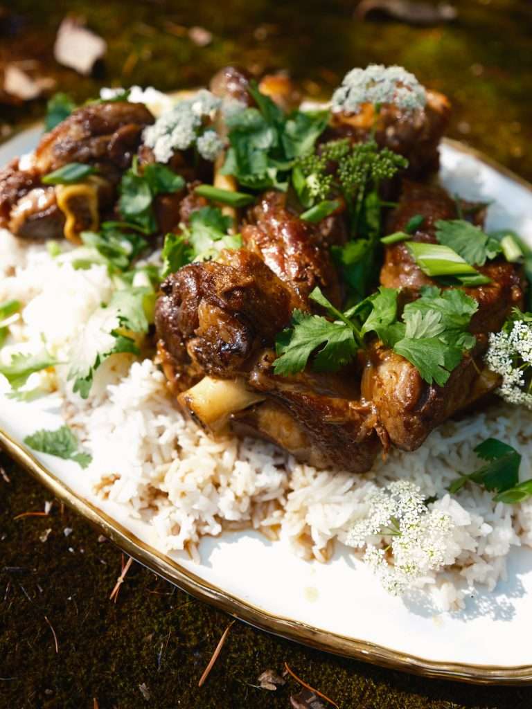 braised american lamb shanks